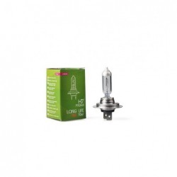 POWERTEC LONG LIFE H7 24V