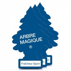 KIT PINO 3 SPORT ARBRE...