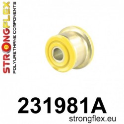 231981A: BRAZO INFERIOR...