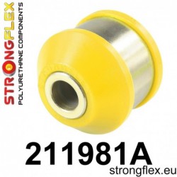 211981A: BRAZO DE...