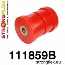 111859B: BRAZO INFERIOR...