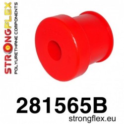 281565B: CASQUILLO TRASERO...