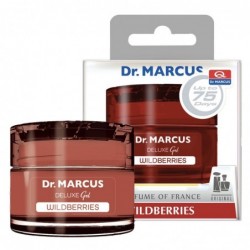 AMBIENTADOR DR. MARCUS...